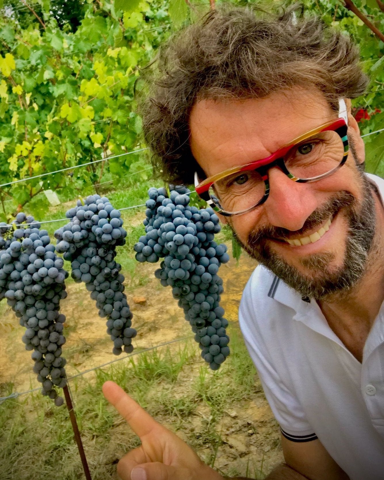 Giacomo Grimaldi mit Nebbiolo-Trauben im Weinberg